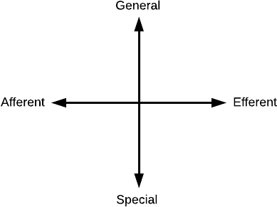 SAGE Axes